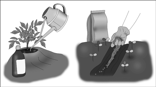 Side-dressing with liquid and granular fertilizers.