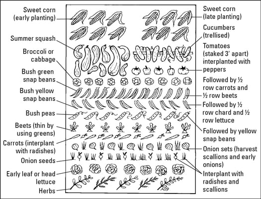 Square Foot Gardening Spacing Chart