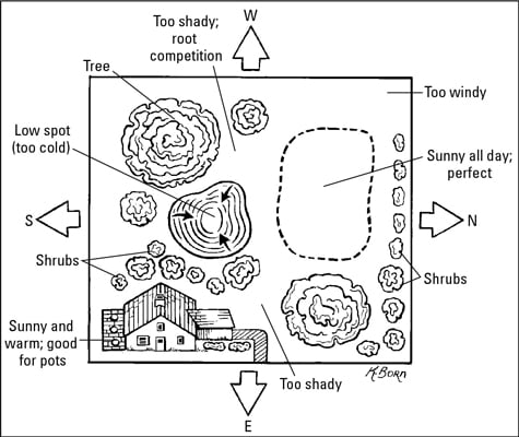 A sample yard with possible (and impossible) sites for a vegetable garden.