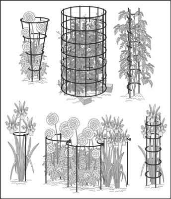 Plant supports can help your perennials grow better and produce more blooms.