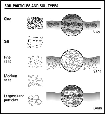 Determine the type of soil you have.