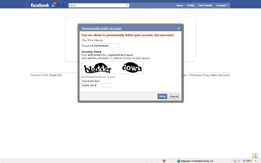 Type your Facebook account password, along with the security check words given on your screen, in the fields provided.