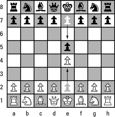 What do the numbers and letters like Nc3 mean? - Chess.com Member Support  and FAQs