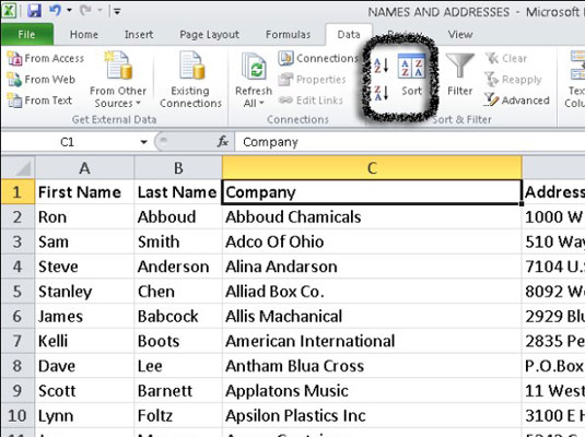 How to Sort Excel 2010 Data on a Single Column - dummies