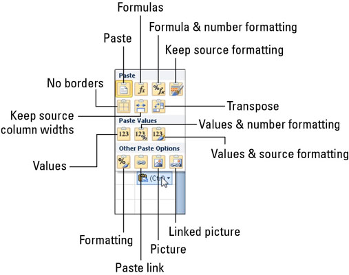 Use the Paste Options button to control the content and formatting of pasted data.