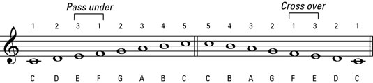 Stick with the white keys to play the C major scale.