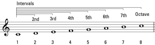 A family of intervals on the C major scale.