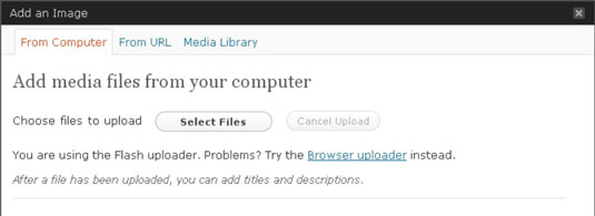 The Add an Image window lets you choose images from your hard drive or from a location on the Web.