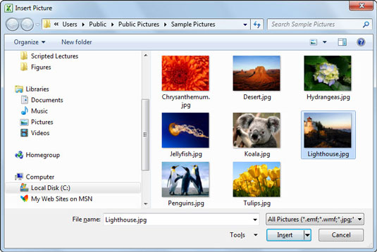 Locate and select the picture file you want to import.