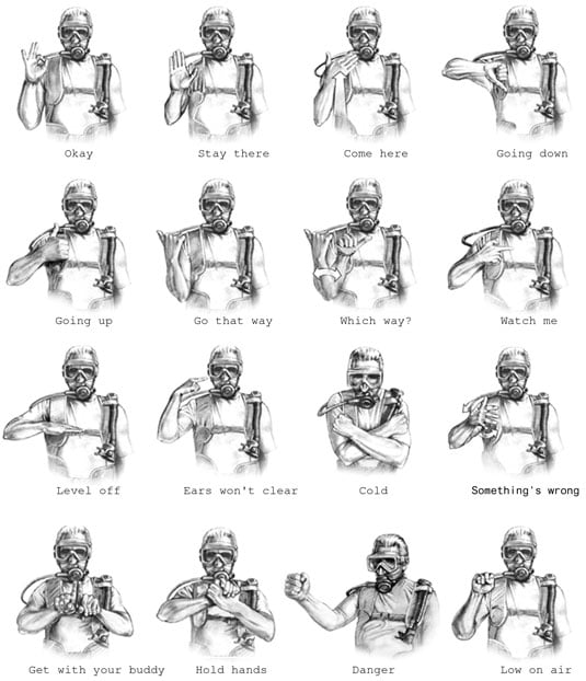 Gang Hand Signs Chart