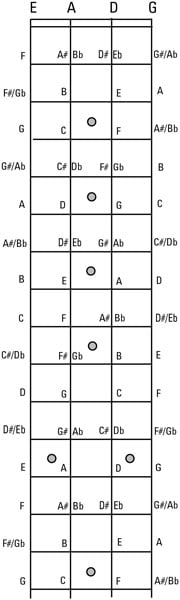 Notes on the bass fingerboard.