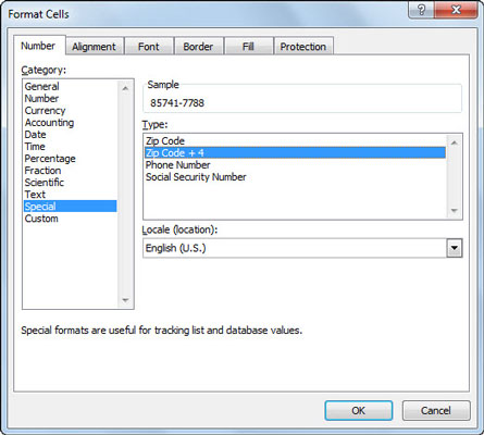 Use the Format Cells dialog box to apply Special formats such as Zip Code and Phone Number.