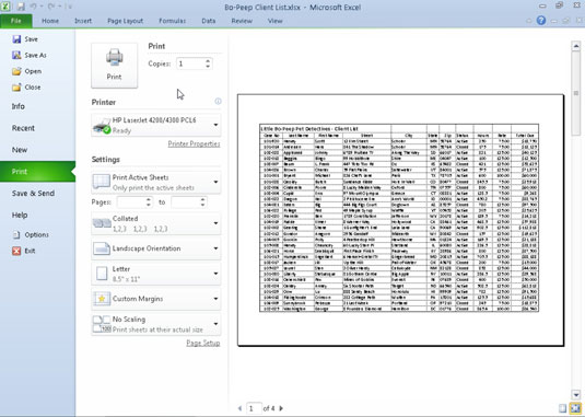 Use the Print panel in Backstage view to change common print settings.