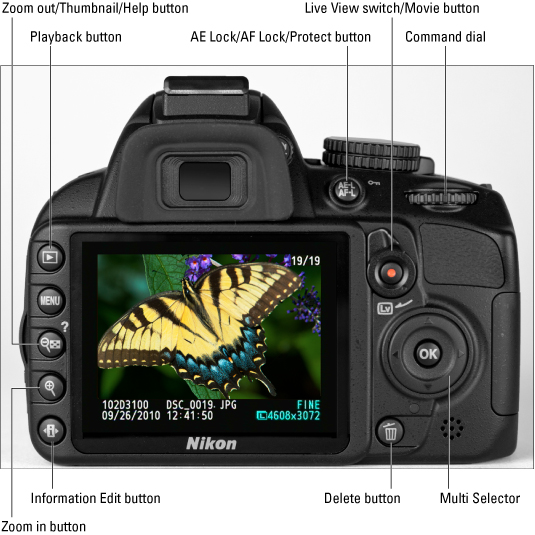 A Nikon 3100 camera with all the buttons explained