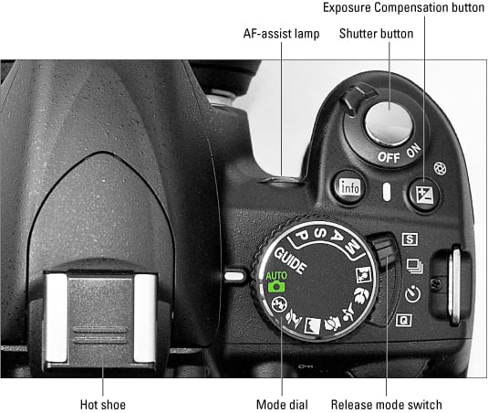 Top view of a Nikon D3100 camera with every button explained.