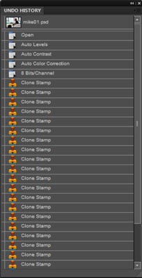 The Undo History panel.
