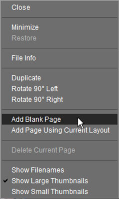 Right-click and then choose an option for adding a page to the photo selected in the Project Bin.