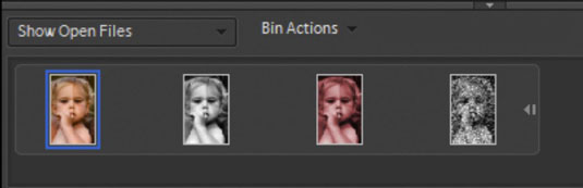 Click one of the thumbnails in the Project Bin to open the respective photo in the image window.