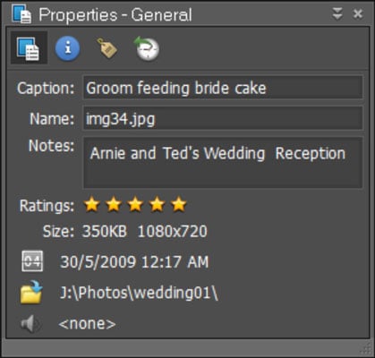 Rating photos with stars in the Properties panel.
