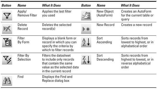 Access 2003 Datasheet View Toolbar Buttons - dummies