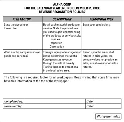 audit risk workpaper dummies policies factor