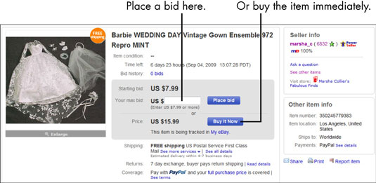 Find the bidding form at the top of the auction listing or click the Place Bid button at the bottom of that page.