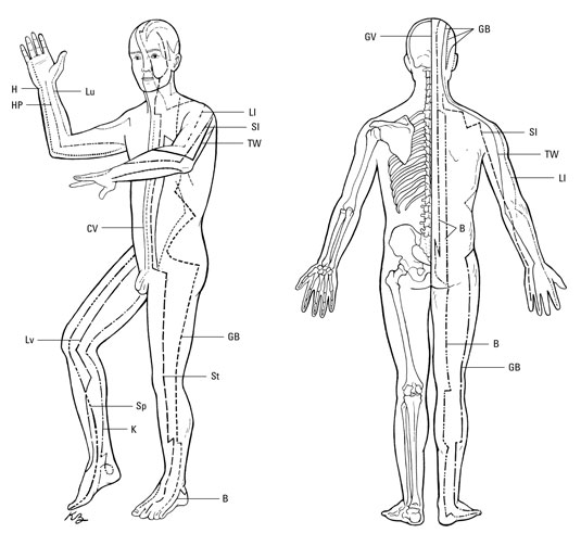 Reflexology Meridians Chart