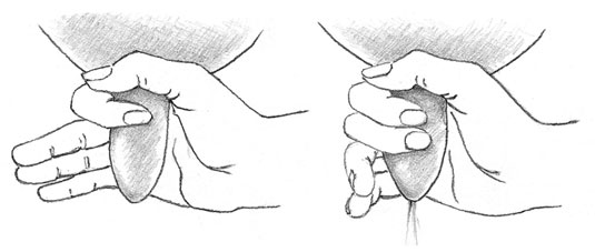 Wrap your thumb and forefinger around the teat to trap the milk and then gently squeeze it out.