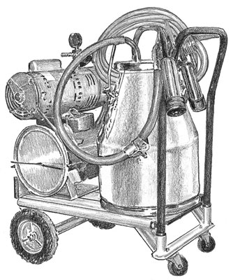 A bucket milking machine works well if you don't have a large number of goats to milk.