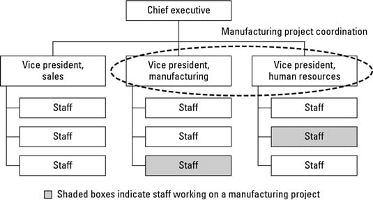 A functional structure for administering projects.