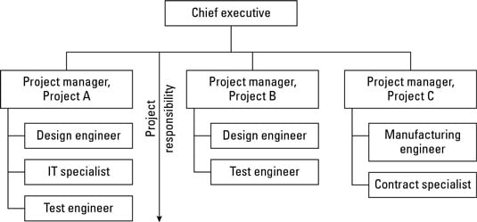 Projectized Organization Chart