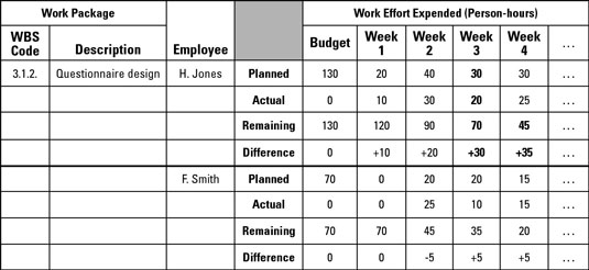 A typical labor report describes the work effort by each team member on each work package.