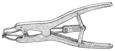 An elastrator is the most common tool for castrating.