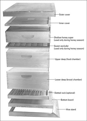 The basic components of a modern Langstroth hive.