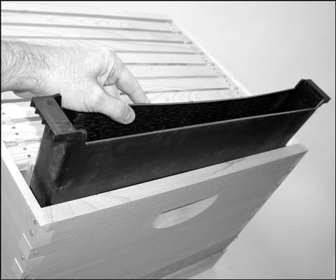 Frame feeders are placed within the hive, replacing a frame of comb.