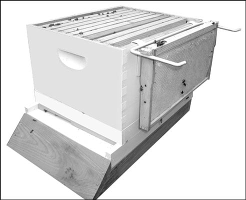 A frame rest is a handy device for holding frames during inspections.