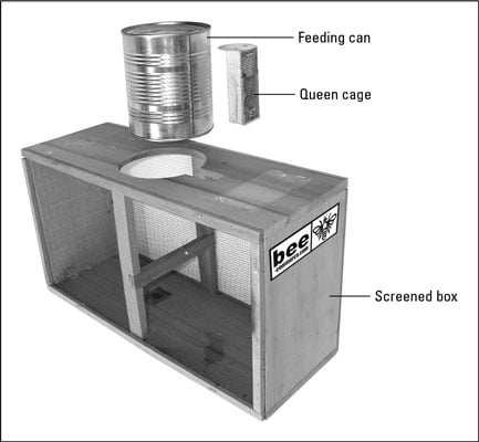 Package bees are shipped in screened boxes. Note the feeding can and queen cage.