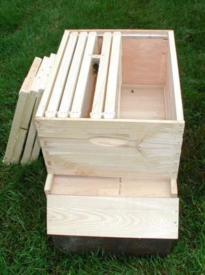 Prepare the hive by removing five of the frames, but keep them nearby.