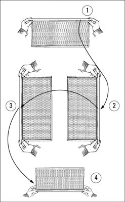 Shaking bees off frames is a technique you will use often.