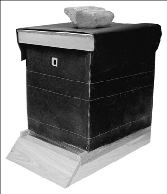 Wrapping your hive in tar paper helps protect your colony from harsh winter winds and absorb the wa