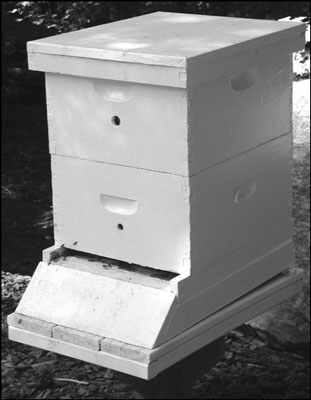 A useful way to provide a colony with ventilation is to drill wine cork-sized holes in the hive bod