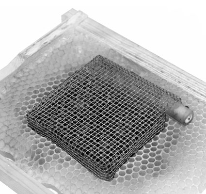 A “push-in” queen cage helps you confine a queen to just a few cells. The eggs laid in th