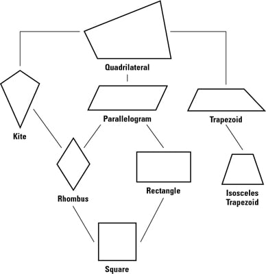 Properties Of Rhombuses Rectangles And Squares Dummies