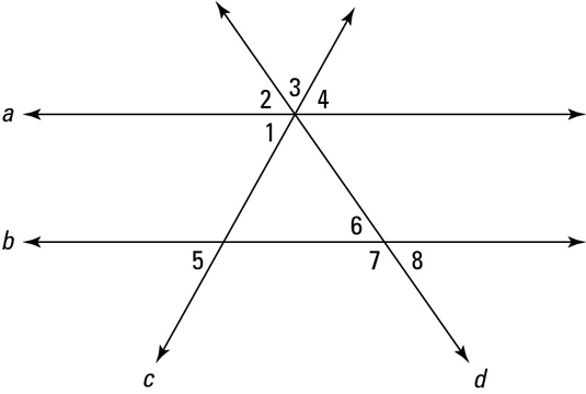 Working With More Than One Transversal Dummies