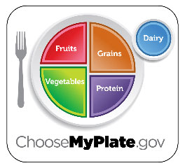 MyPlate Meal-Wheel