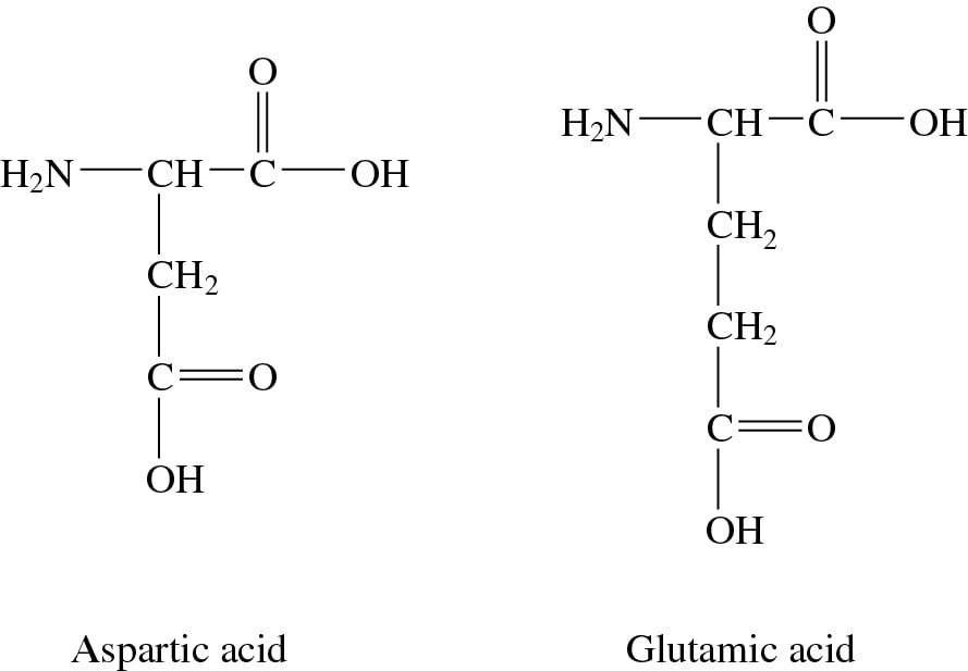 These two amino acids make up the acidic amino acid... 