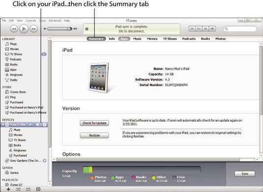 Click your iPad name in the Source List, and then click the Summary tab if it's not already displayed.