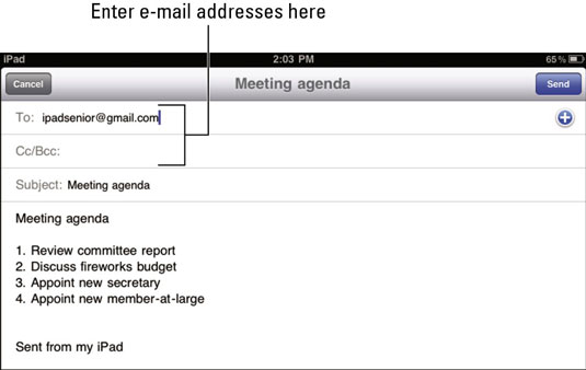 Type one or more e-mail addresses in the appropriate fields.