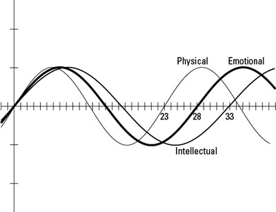 The three biorhythm cycles, starting at birth.