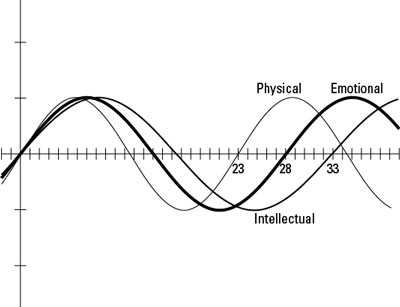 Biorythms Chart